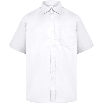 Kleidung Herren Kurzärmelige Hemden Absolute Apparel  Weiss