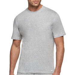 Kleidung Herren T-Shirts Impetus 1361001 507 Grau