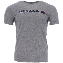 Kleidung Herren T-Shirts & Poloshirts Teddy Smith 11014740D Grau