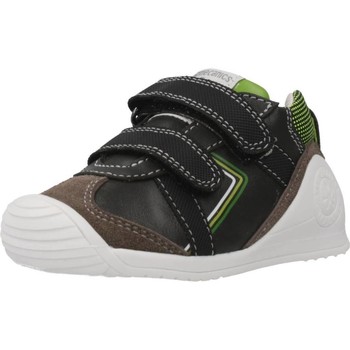 Schuhe Jungen Derby-Schuhe & Richelieu Biomecanics 201126 Braun