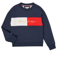 Kleidung Mädchen Sweatshirts Tommy Hilfiger KG0KG05497-C87-J Marine
