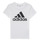 Kleidung Jungen T-Shirts Adidas Sportswear B BL T Weiss