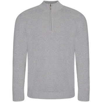Kleidung Herren Sweatshirts Ecologie EA061 Grau