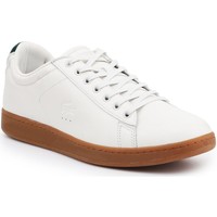 Schuhe Herren Sneaker Low Lacoste Lifestyle Schuhe  Carnaby Evo 5 SRM 7-30SRM4002098 Beige
