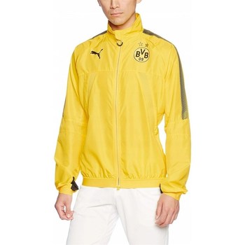 Kleidung Herren Jacken Puma Borusia Dortmund Gelb