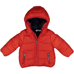 Kleidung Kinder Jacken Melby 20Z0081 Rot