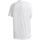 Kleidung Herren T-Shirts adidas Originals Brilliant Basics Tee Weiss