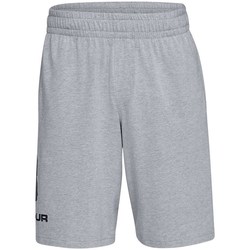 Kleidung Herren Shorts / Bermudas Under Armour Sportstyle Cotton Logo Grau