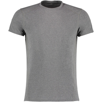 Kleidung Herren T-Shirts Gamegear KK939 Grau