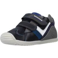 Schuhe Jungen Sneaker Low Biomecanics 201124 Blau