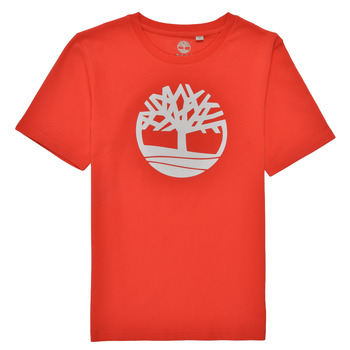 Kleidung Jungen T-Shirts Timberland LOLLA Rot