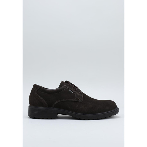 Schuhe Herren Derby-Schuhe & Richelieu Imac 250319 Braun