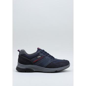 Schuhe Herren Derby-Schuhe & Richelieu Imac 603828 Blau