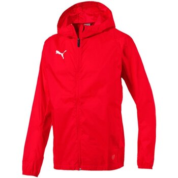 Kleidung Herren Jacken Puma Sport LIGA Training Rain Jacket 655304 001 Rot