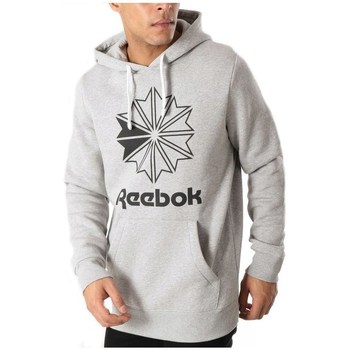 Kleidung Herren Sweatshirts Reebok Sport Big Logo Hoodie Grau