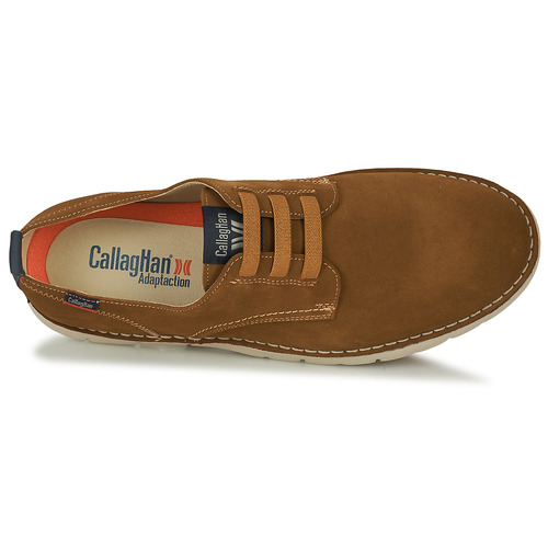 CallagHan AWAT Braun