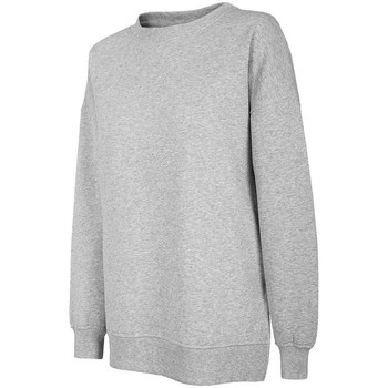 Kleidung Damen Sweatshirts 4F BLD011 Grau
