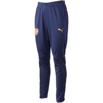 Kleidung Herren Jogginganzüge Puma AFC TRAINING PANTS Blau