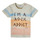 Kleidung Jungen T-Shirts Ikks XS10061-60 Multicolor