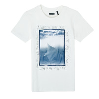 Kleidung Jungen T-Shirts Ikks XS10033-19-C Weiss