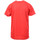 Kleidung Jungen T-Shirts & Poloshirts Hungaria H-15TMJUBA00 Rot