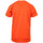 Kleidung Jungen T-Shirts & Poloshirts Hungaria H-15TMJUBA00 Orange