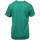 Kleidung Jungen T-Shirts & Poloshirts Hungaria H-15TMJUBA00 Grün
