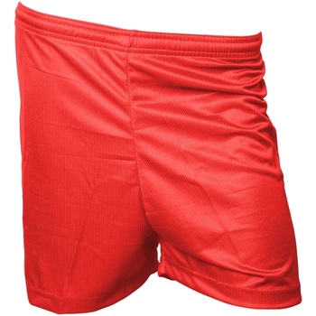 Kleidung Shorts / Bermudas Precision  Rot