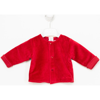 Kleidung Kinder Jacken Tutto Piccolo 1580JW16-J Rot