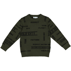 Kleidung Kinder Sweatshirts Melby 40B2032 Grün