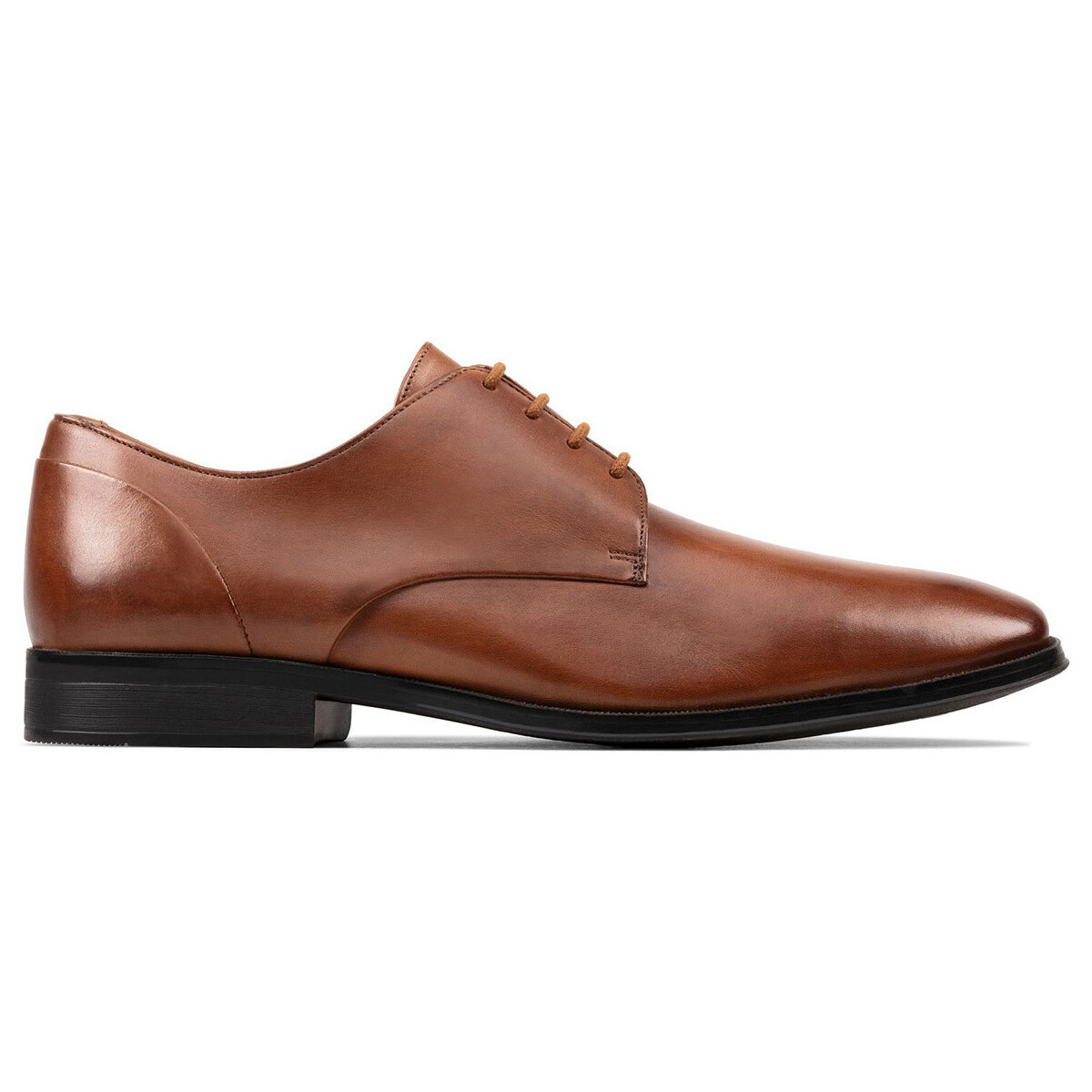 Schuhe Herren Derby-Schuhe & Richelieu Clarks Gilman Plain Braun