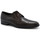 Schuhe Herren Derby-Schuhe & Richelieu Alberto  Braun