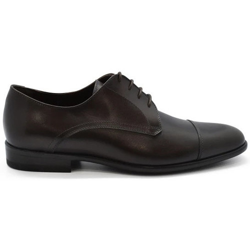 Schuhe Herren Derby-Schuhe & Richelieu Alberto  Braun