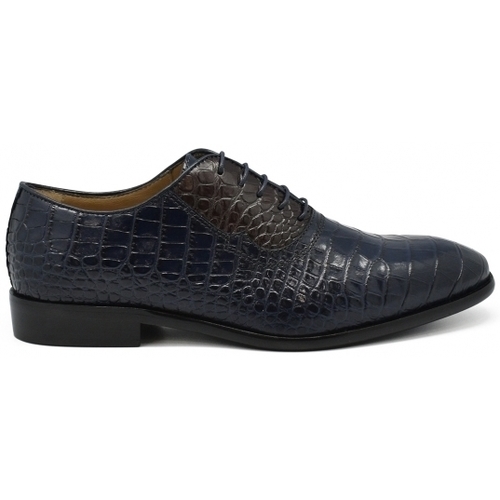 Schuhe Herren Derby-Schuhe & Richelieu Caporicci  Blau