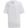 Kleidung Jungen T-Shirts & Poloshirts adidas Originals DV1686 Weiss