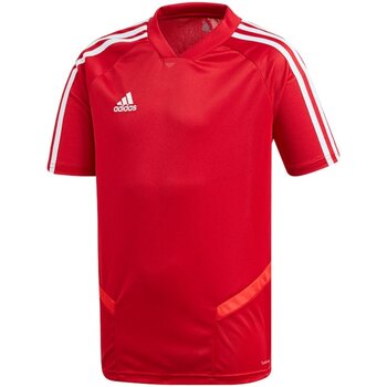Kleidung Jungen T-Shirts & Poloshirts adidas Originals Sport TIRO19 TR JSYY D95938 Other