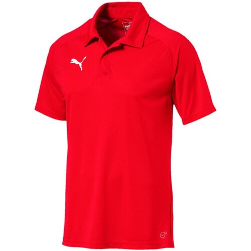 Kleidung Herren T-Shirts & Poloshirts Puma Sport LIGA Sideline Polo 655608 001 Rot