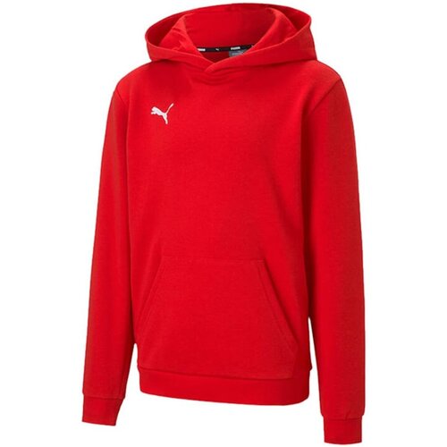 Kleidung Jungen Sweatshirts Puma Sport teamGOAL 23 Casuals Hoody 656711 001 Rot