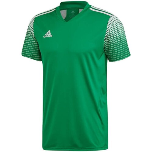Kleidung Herren T-Shirts & Poloshirts Adidas Sportswear Sport REGISTA 20 JSY FI4559 Grün