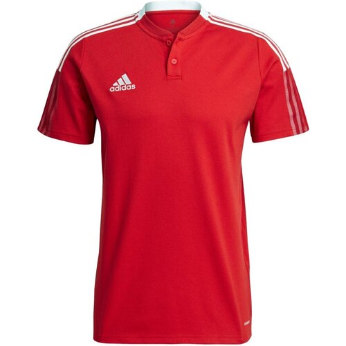 Kleidung Herren T-Shirts & Poloshirts Adidas Sportswear Sport TIRO21 POLO,TMPWRD GM7365 Other