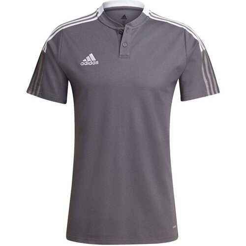 Kleidung Herren T-Shirts & Poloshirts Adidas Sportswear Sport TIRO21 POLO GM7364 000 Grau