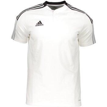 Kleidung Herren Polohemden Adidas Sportswear Sport adidas Poloshirt 