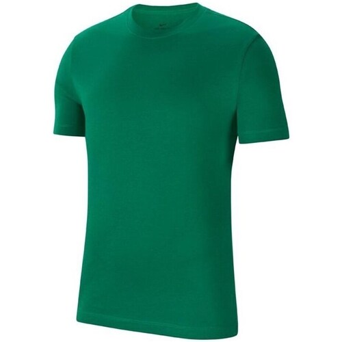 Kleidung Herren T-Shirts Nike Park 20 Tee Grün
