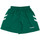 Kleidung Mädchen Shorts / Bermudas hummel 405CLVB Grün