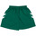 Kleidung Mädchen Shorts / Bermudas hummel 405CLVB Grün