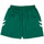 Kleidung Herren Shorts / Bermudas hummel 405CLVB Grün