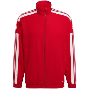 Kleidung Herren Jacken Adidas Sportswear Sport Squadra 21 Presentation Jacket GP6446 Other