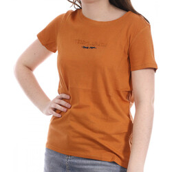 Kleidung Damen T-Shirts & Poloshirts Teddy Smith 31014591D Orange