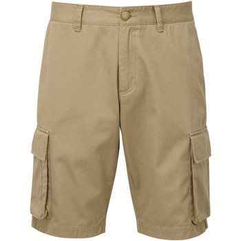 Kleidung Herren Shorts / Bermudas Asquith & Fox AQ054 Multicolor