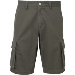 Kleidung Herren Shorts / Bermudas Asquith & Fox AQ054 Grau